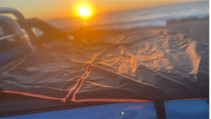 Funda de Animales Para Tu Vehículo